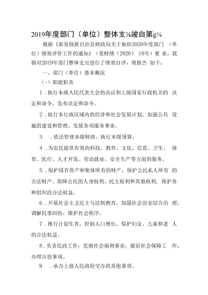 2019年度部门单位整体支出绩效自评报告.docx