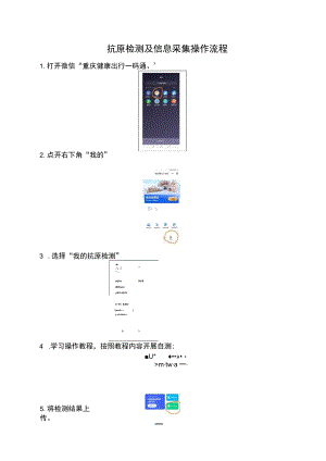 抗原检测及信息采集操作流程.docx