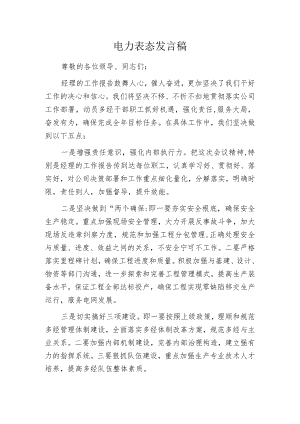 电力表态发言稿.docx