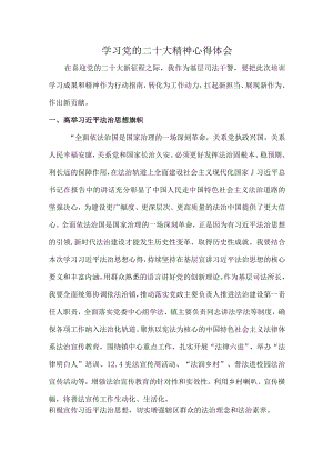 国企施工单位组织学习党的二十大精神个人心得体会.docx