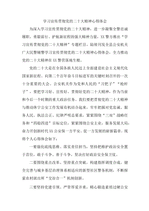 城区交警支队深入贯彻学习《党的二十大精神》个人心得体会.docx