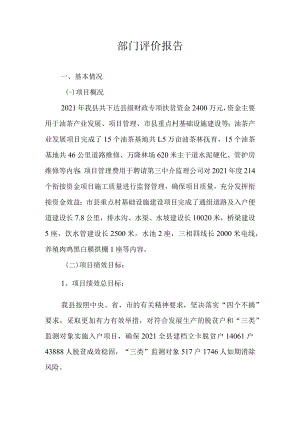 部门评价报告.docx