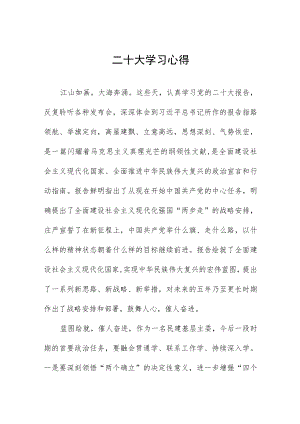 二十大心得体会范文合集.docx