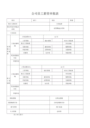 公司员工薪资审批表.docx