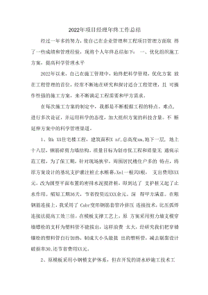 2022年项目执行经理年终总结.docx