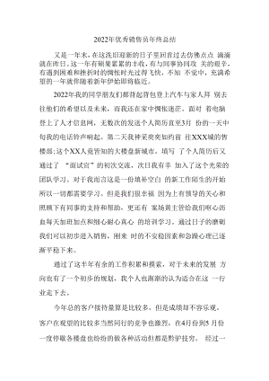 2022年优秀销售员年终总结 (精品4份).docx