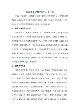 城区公立小学2023年教师教学工作计划.docx