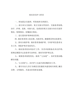 病房责任护士职责.docx