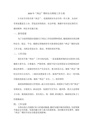 建筑施工单位组织2023年“两会”期间安全维稳方案.docx