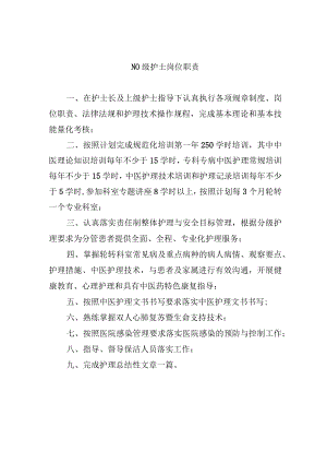 N0级护士岗位职责.docx