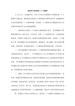 开展学习宣传贯彻党的二十大精神个人心得体会.docx