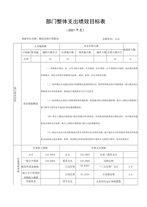 部门整体支出绩效目标表.docx