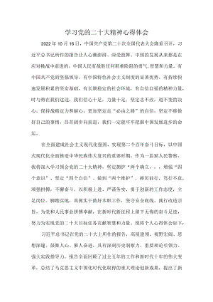 纪检基层党员工作员深入学习党的二十大精神个人心得体会.docx