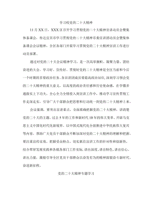 个人学习宣传贯彻党的二十大精神个人心得体会.docx