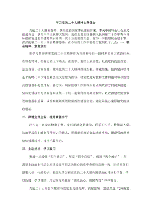 纪检人员学习党的二十大精神个人心得体会.docx