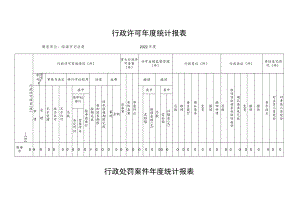 行政许可年度统计报表.docx
