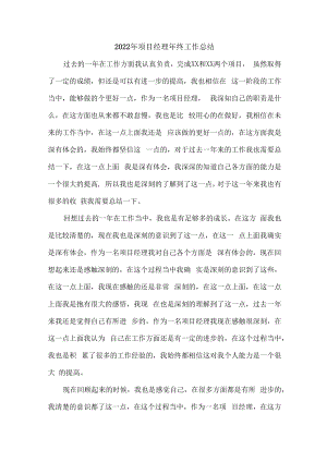 2022年项目经理个人年终总结 (精编4份).docx