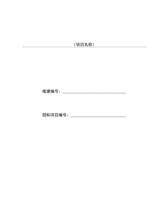工程项目专家评标报告.docx