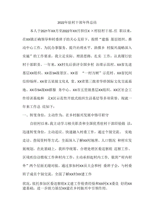 2022年乡镇驻村干部个人年终总结.docx