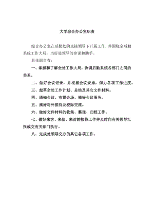 大学综合办公室职责.docx