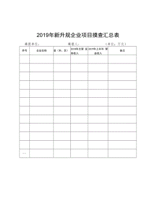 2019年新升规企业项目摸查汇总表.docx