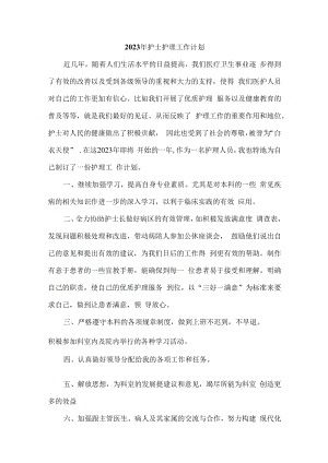 2023年医院护士护理工作计划.docx