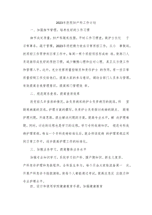 2023年医院妇产科工作计划.docx