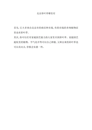 北京彩叶草哪里有.docx