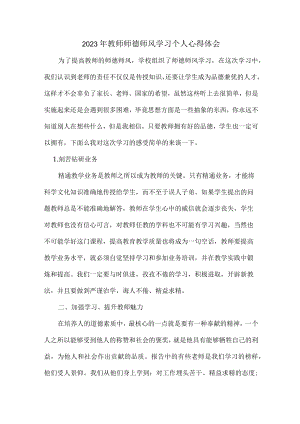 公立学校2023年教师道德师风学习个人心得体会 样板.docx