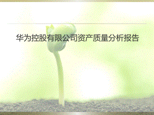 华为财务报表分析.pptx