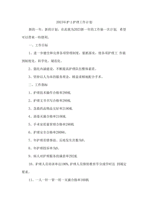 2023年护士护理工作计划 (通用三篇).docx