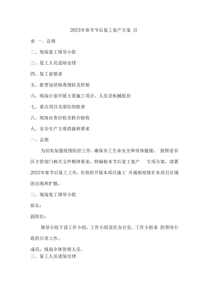 2023年春节后项目复工复产方案.docx