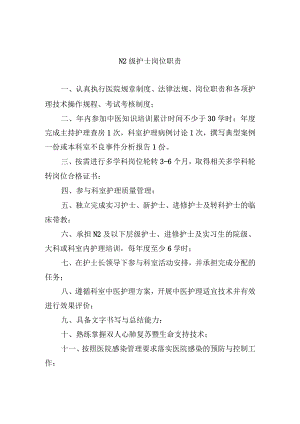 N2级护士岗位职责.docx