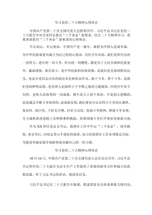 基层人员学习党的二十大精神心得体会 (4份).docx