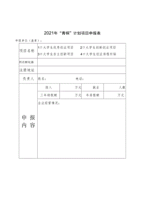 2021年“青桐”计划项目申报表.docx