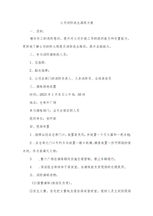 公司消防逃生演练方案.docx