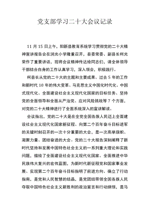 党支部学习二十大会议记录.docx