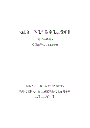“大综合一体化”数字化建设项目.docx