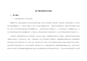 部门整体绩效评价报告.docx