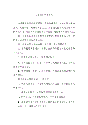 大学网络使用规范.docx