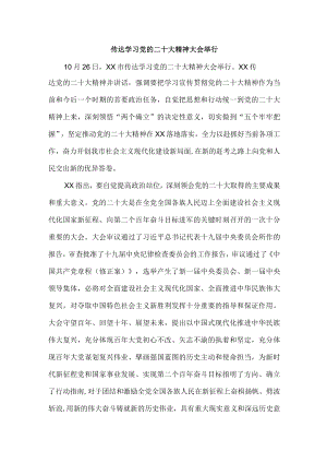 传达学习党的二十大精神心得收获.docx