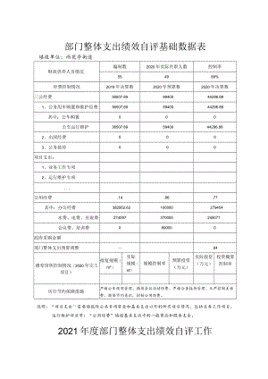 部门整体支出绩效自评基础数据表.docx