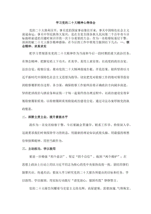 检察院基层干警学习党的二十大精神心得体会.docx