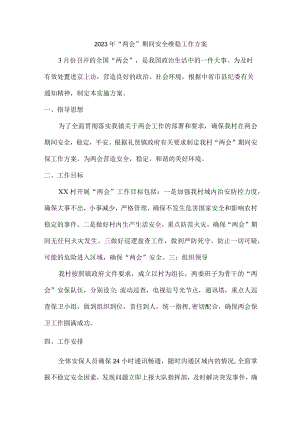 公立小学组织2023年“两会”期间安全维稳方案.docx