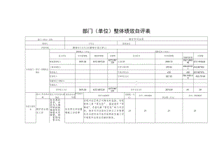 部门单位整体绩效自评表.docx