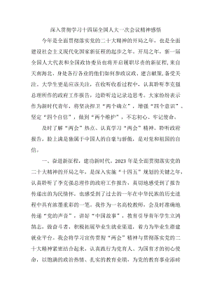 公安干警深入贯彻学习十四届全国人大一次会议精神心得感悟汇编4份.docx