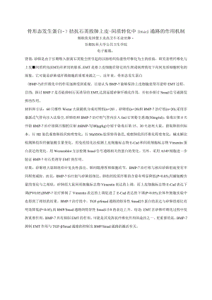 骨形态发生蛋白-7拮抗石英致肺上皮-间质转化中Smad通路的作用机制.docx