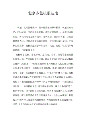 北京多色矾根基地.docx
