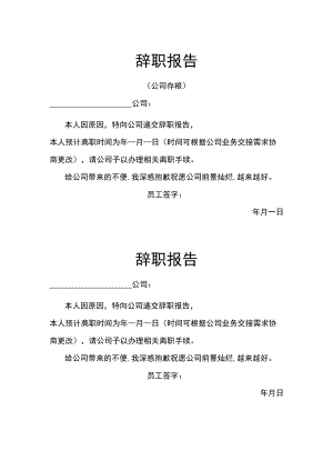 辞职报告.docx