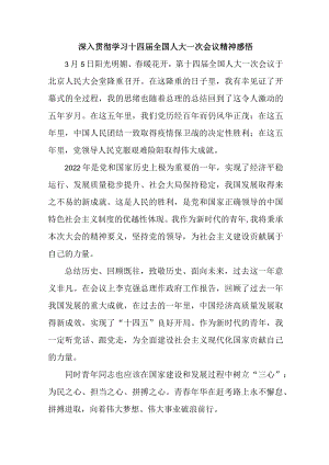 高等大学深入贯彻学习十四届全国人大一次会议精神 (精编).docx